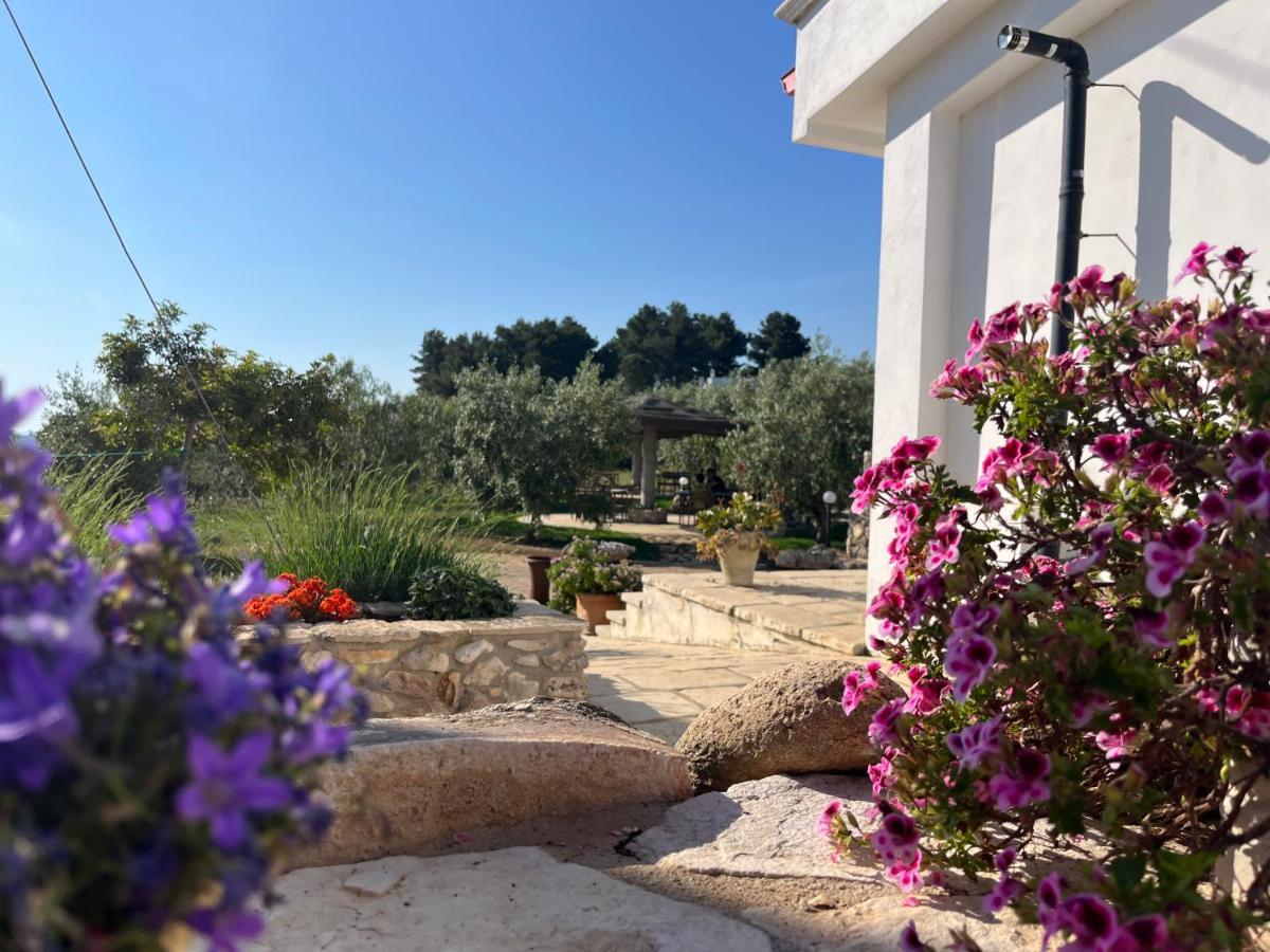 B&B Le Cicale Vieste Exterior foto