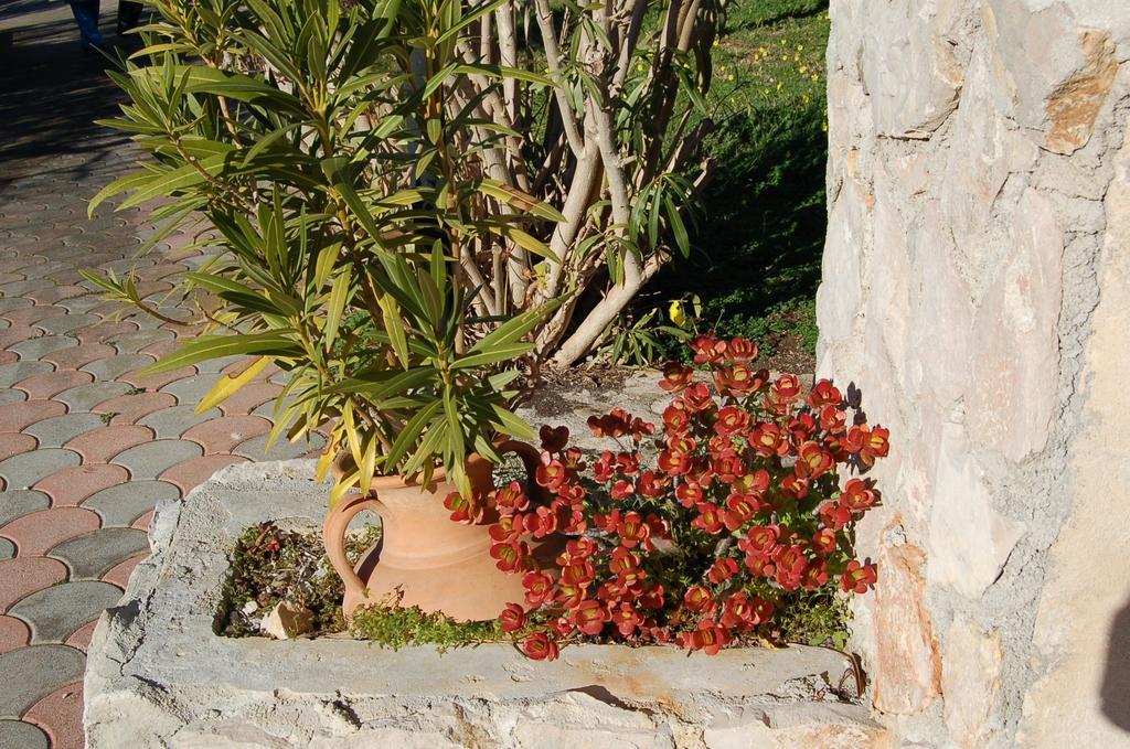 B&B Le Cicale Vieste Exterior foto